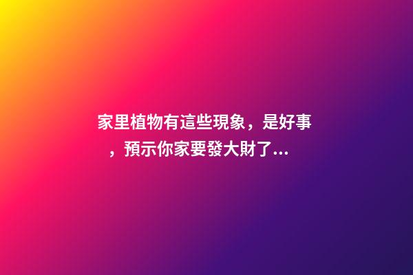 家里植物有這些現象，是好事，預示你家要發大財了！